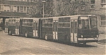 ikarus293.jpg