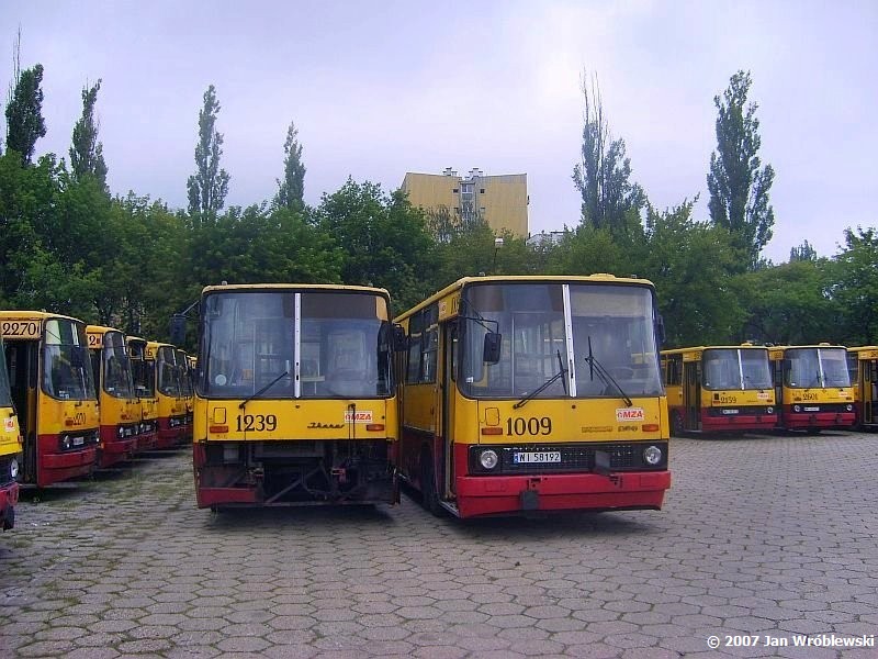 1239 1009
1239 - Ikarus 260.04 / Prod. 1982 / NG 1988 / NG2 1993 ex295 / NG3 1999 / 2003 ex1604 / skreslenie 04.2007, kasacja 10.2007
1009 - Ikarus 260.04 / Prod. 1983 / NG 1987 / odb. 1992 (nowe nadwozie) / NG2 1999 / kasacja 08.2007 
Słowa kluczowe: ik260 1239 1009 ZajezdniaRedutowa 2plac 2007