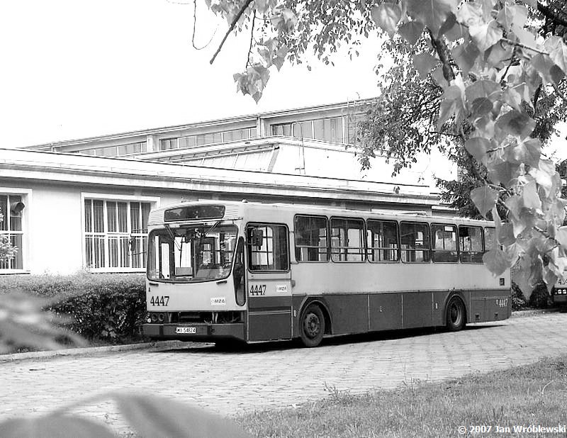 4447
Kasacja w odcieniach szarości.
Słowa kluczowe: 120MM 4447 ORT 2007