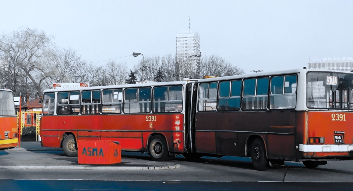 2391
Foto: Maciej Turkowski.
Słowa kluczowe: IK280 2391 510 EmiliiPlater 1994