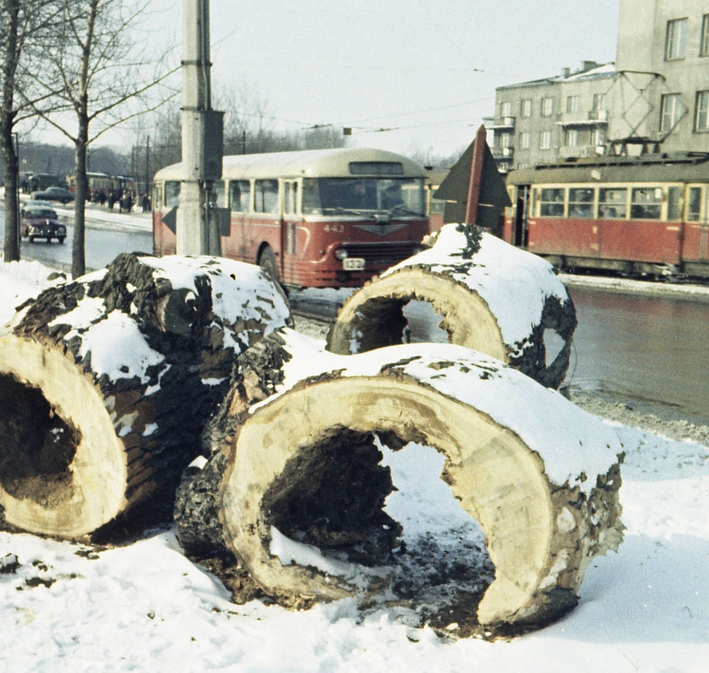 443
Obwarzanki.
A za nimi:
443: produkcja 1956, R5, R6, kasacja w marcu 1966.
Przed jaką pętlą tramwajową?

Foto: Zbigniew Szczypka.
Zdjęcie jest własnością NAC.
Wszelkie prawa zastrzeżone.

Słowa kluczowe: APH521 443 132 SłowackiegoPotocka 1962