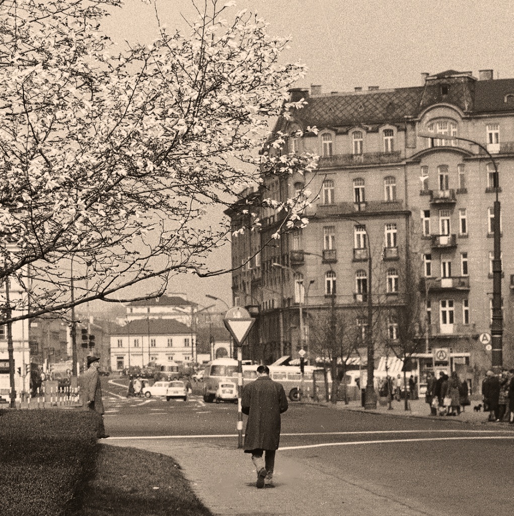 2239
U wylotu Książęcej.
2239: produkcja 1968, R7, kasacja 10.04.1979.

Foto: Grażyna Rutowska.
Zdjęcie jest własnością NAC.
Wszelkie prawa zastrzeżone.

Słowa kluczowe: 021 2239 144 PlacTrzechKrzyżyKsiążęca 1976