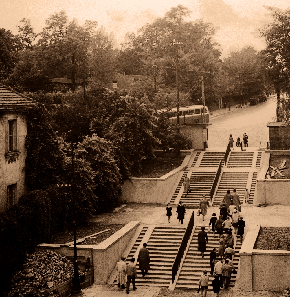 60
Schody na Górnośląskiej i znikająca Lowa na 52 lub 53.
60: produkcja 1952, R8(Łazienkowska), kasacja 1965.

Foto: Zbyszko Siemaszko.
Zdjęcie jest własnością NAC.
Wszelkie prawa zastrzeżone.

Słowa kluczowe: LowaW602 60 PięknaGórnośląskaMysliwiecka 1964