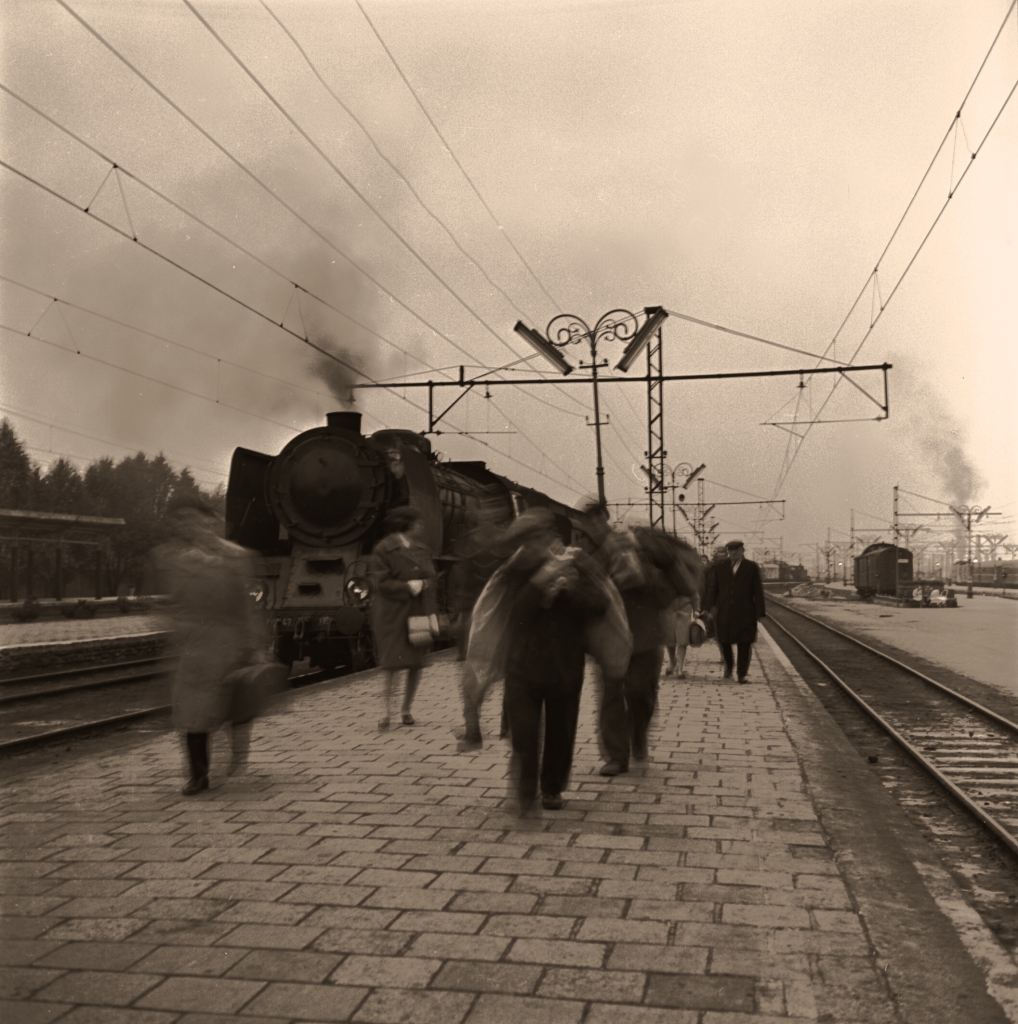 Parowóz Pt47
Piesi śmigają po peronie pod przedwojennymi pastorałami.

Foto: Jerzy Piasecki.
Zdjęcie jest własnością NAC.
Wszelkie prawa zastrzeżone.

Słowa kluczowe: ParowózPt47 DworzecGłówny 1965