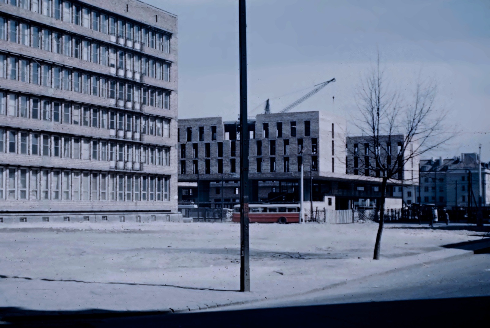 89
89: 7Tr6, produkcja 1955, R8(Łazienkowska), R9, kasacja 1969.

Foto: Mogens Torsleff.
Zdjęcie jest własnością NAC.
Wszelkie prawa zastrzeżone
Rekonstrukcja Omni-Bus.
Słowa kluczowe: Skoda7Tr 89 SzpitalnaPlacPowstańcówWarszawy 1959