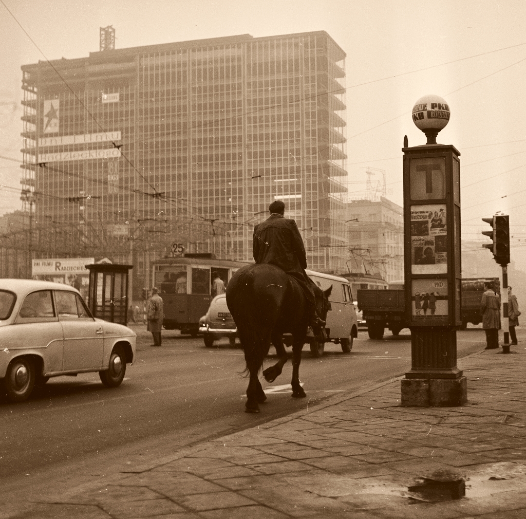 WagonN+ND+ND
Krokodyl Dundee w Warszawie.
W końcu wówczas właśnie odbywały się Dni Filmu Radzieckiego...

Foto: Lech Zielaskowski.
Zdjęcie jest własnością NAC.
Wszelkie prawa zastrzeżone.

Słowa kluczowe: WagonN+ND+ND 25 AlejeJerozolimskie 1965