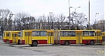 2986_chelmska_29_03_06_.jpg