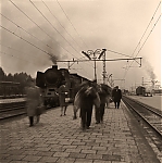 ParowozP_DworzecGlowny_1965_fot__Jerzy_Piasecki.jpg