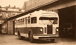 ZiS155_1955.jpg