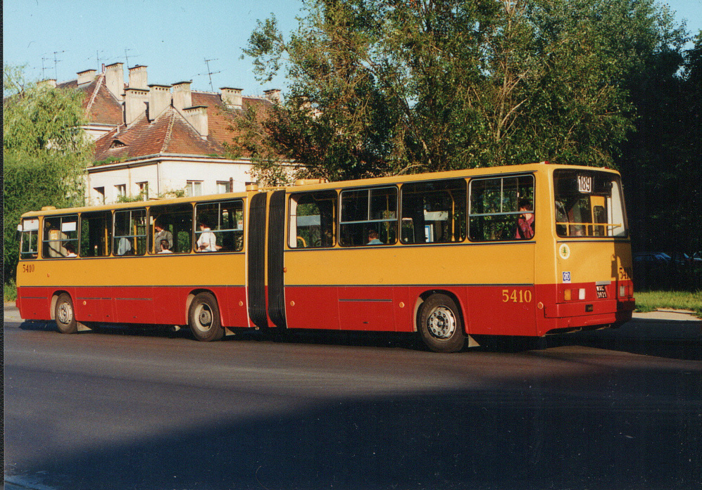 5410
Półroczny bizon.
Foto: Jacek Siennicki
