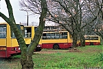 2598-redutowa.jpg