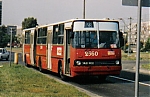 2560-123-1997.jpg
