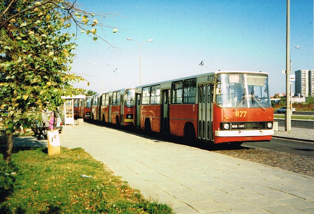 877
503 miało wtedy 6-cio minutową częstotliwość w szczycie, a gdy pojawiły się jeszcze wtyczki, robiło się naprawdę gęsto. Za 877 stoi 3084 potem 813 i chyba 3069. Było 8C+8D+wtyczki3D. A po zmianie rozkładu 8C+12D, w szczycie co 5 min, rozkładowo same długie.
Słowa kluczowe: Ikarus260 Natolin 877 503