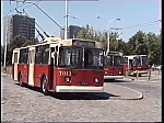 T013.jpg