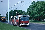 T038.jpg