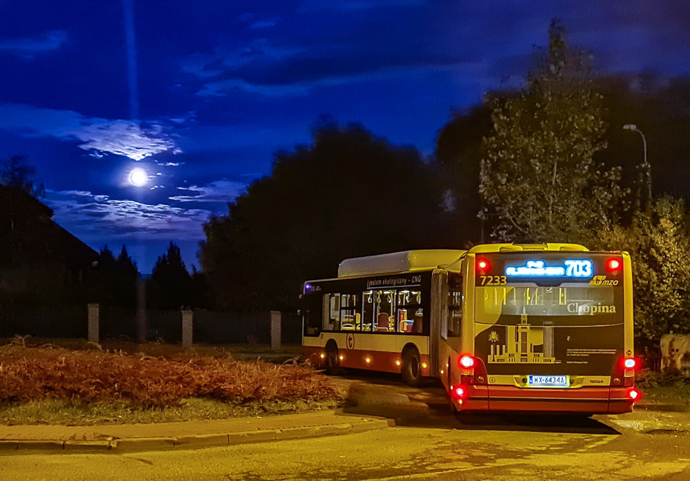 7233
MAN A23 NG313 Lion's City G CNG prod. 2019.

foto Michał Pawłowski
Słowa kluczowe: NG313 LionsCityGCNG 7233 703 Kosów