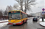 STY-2013_060X.jpg