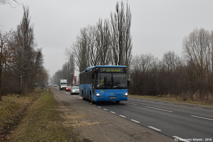 14121
MAN SU283 #14121, prod. 2005, PKS Grójec (od 2014)
Słowa kluczowe: SU283 14121 Baniocha Puławska