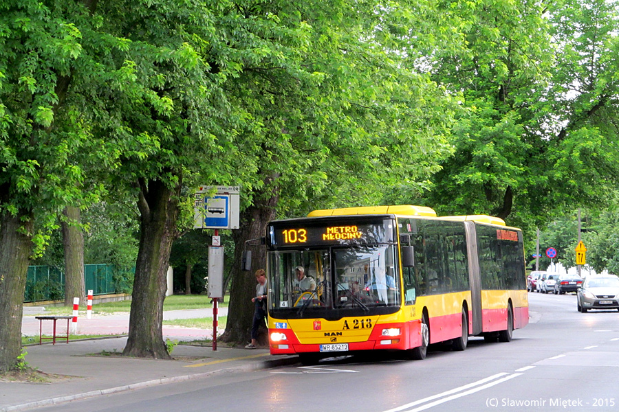 A213
Zastępstwo za Mobilis
Słowa kluczowe: Lion&#039;sCityG A213 103 alejaZjednoczenia