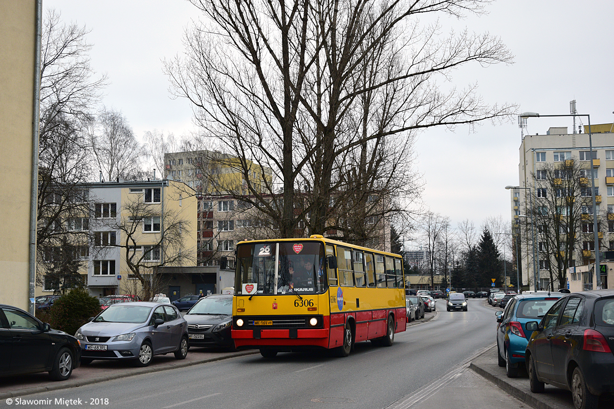 6306
Słowa kluczowe: IK260 6306 26F Brazylijska