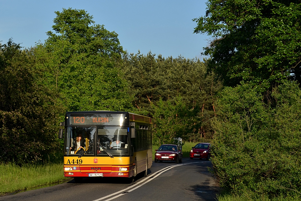 A449
ITSowa NL-ka pędzi w promieniach zachodzącego słońca w kierunku krańca Olesin. Co do okolicy, panuje tam niesamowity, wiejski klimat, który jeszcze nie został zniszczony przez posuwające się coraz bardziej w głąb osiedla.
Słowa kluczowe: NL223 A449 120 KątyGrodziskie