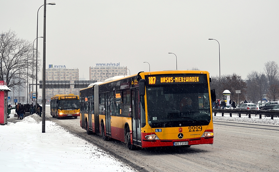 2229
Turek w pełnej krasie.
Słowa kluczowe: ConectoG 2229 187 AlejeJerozolimskie