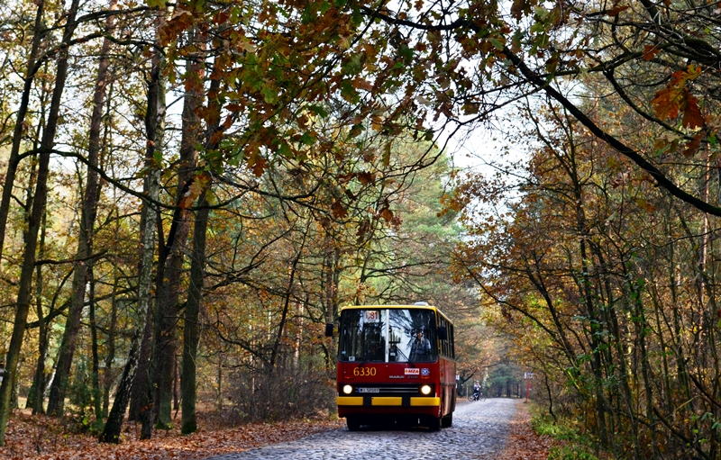 6330
Czerwoniec wyrusza w kierunku Warszawy. Pozdro dla Olka007 widocznego w tle.
Słowa kluczowe: IK260 WS2012 6330 C81 Palmiry Pociecha