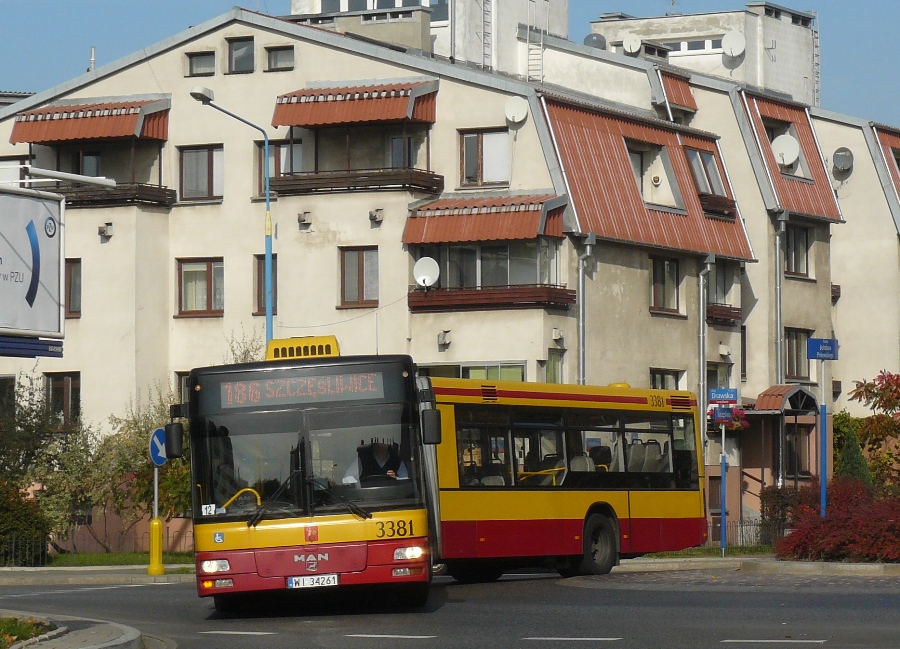 3381
Słowa kluczowe: NG313 3381 186 Szczęśliwice