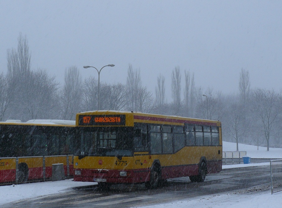 4775
Słowa kluczowe: M121M 4775 157 Szczęśliwice