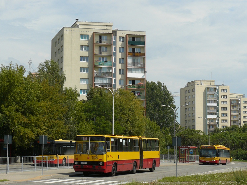 5590
Słowa kluczowe: IK280 5590 501 Stegny