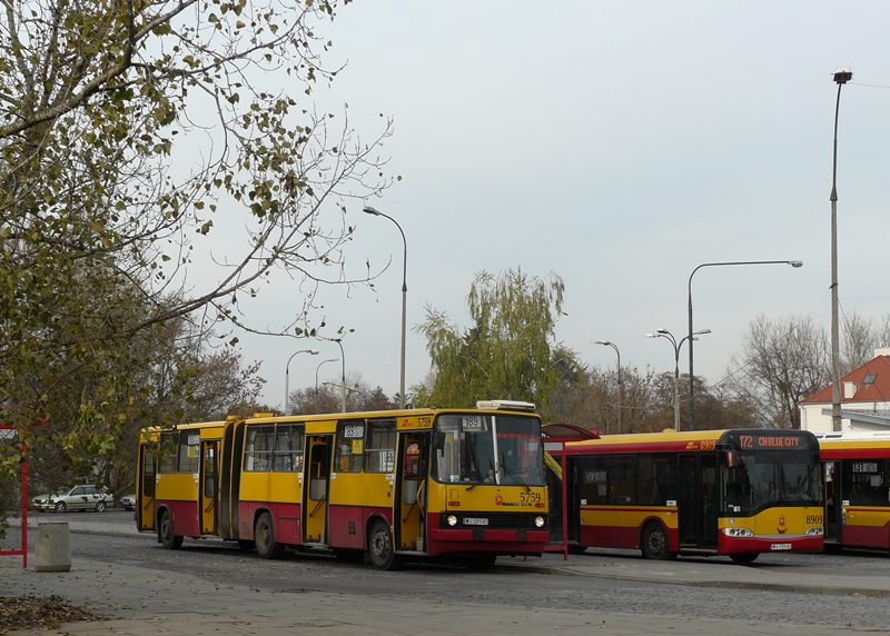 5759
Mediolan z okazji Wszystkich Świętych zasilony - także Ikarusami.
Słowa kluczowe: IK280 5759 189 Sadyba WS2012