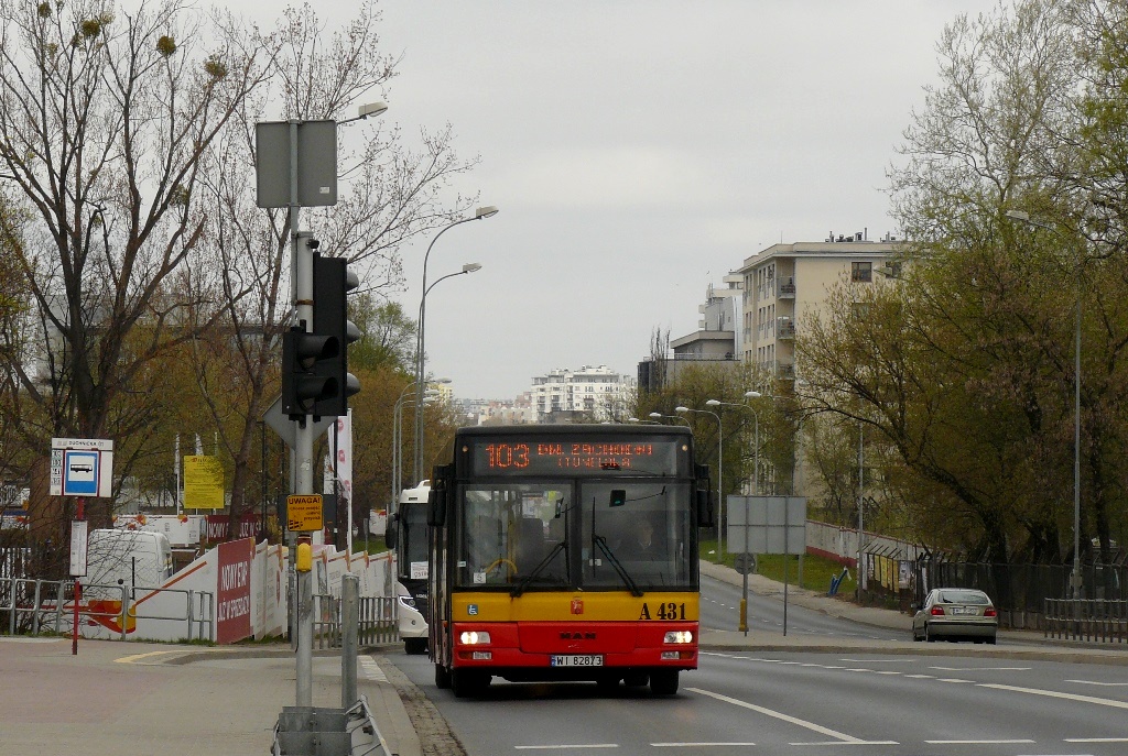 A431
Słowa kluczowe: NL223 A431 103 Powązkowska