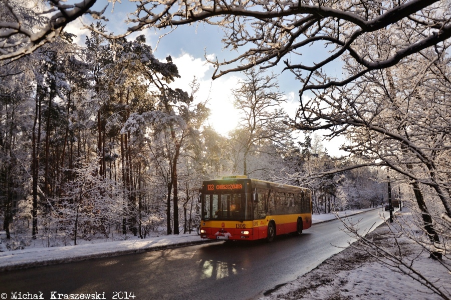 1302
W słoneczno-zimowej scenerii
Słowa kluczowe: NM223 1302 133 Mehoffera