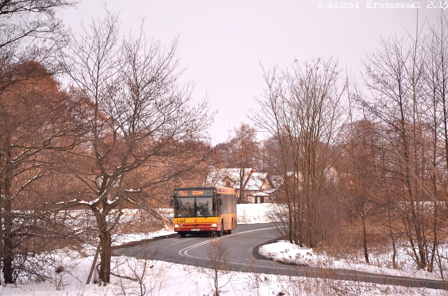 A447
Słowa kluczowe: NL223 A447 120 KątyGrodziskie