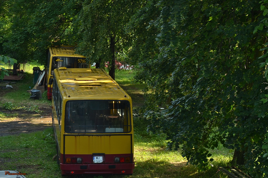 6381
Zajezdnia Cora w budowie.
Słowa kluczowe: IK260 6381 WałMiedzeszyński