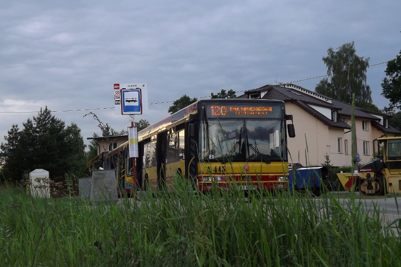 A445
Słowa kluczowe: NL223 A445 120 Olesin