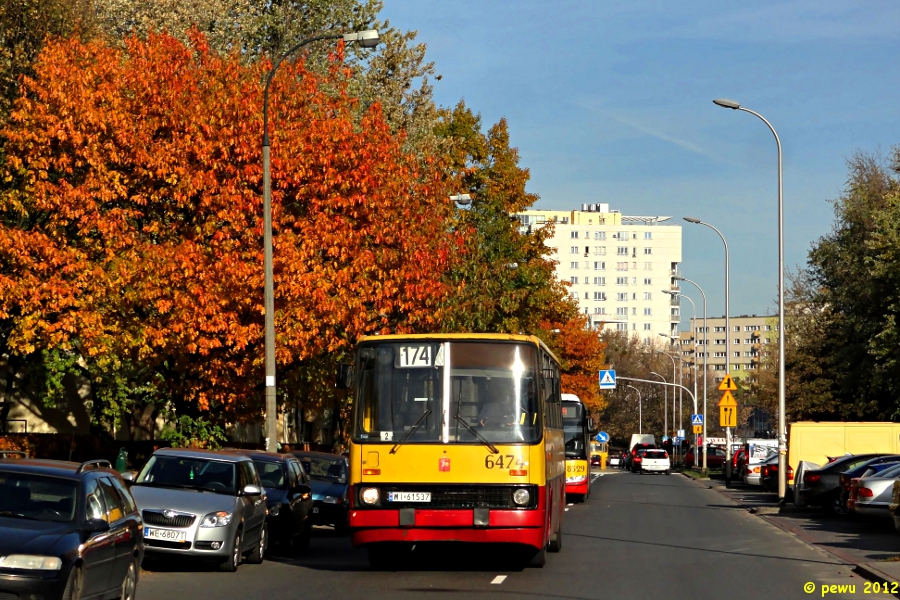 6474
Gdyby nie te pomarańczowe liście to pomyślałbym że jest środek lata...

Foćcie solówki bo ich koniec bliski.
Słowa kluczowe: 6474 Gotarda IK260 174