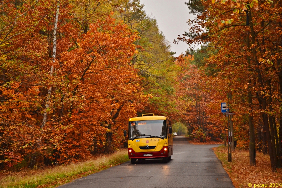 A379
Solinka, obsługująca zastępczą linię Z61, przedziera się przez piękne o tej porze roku wawerskie lasy.
Słowa kluczowe: H7-20 Solina A379 Z61 KwitnącejAkacji