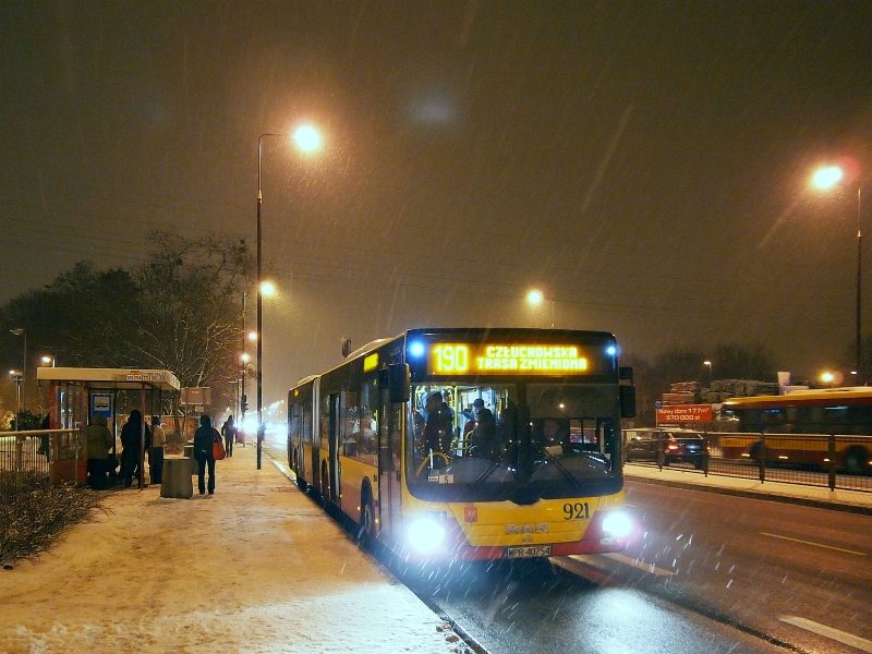 921
Gdy wychodziłem z zakupami ze sklepu - podjechał ten oto gość (a może on już domownik???).
Słowa kluczowe: LionsCityG 921 190 Górczewska