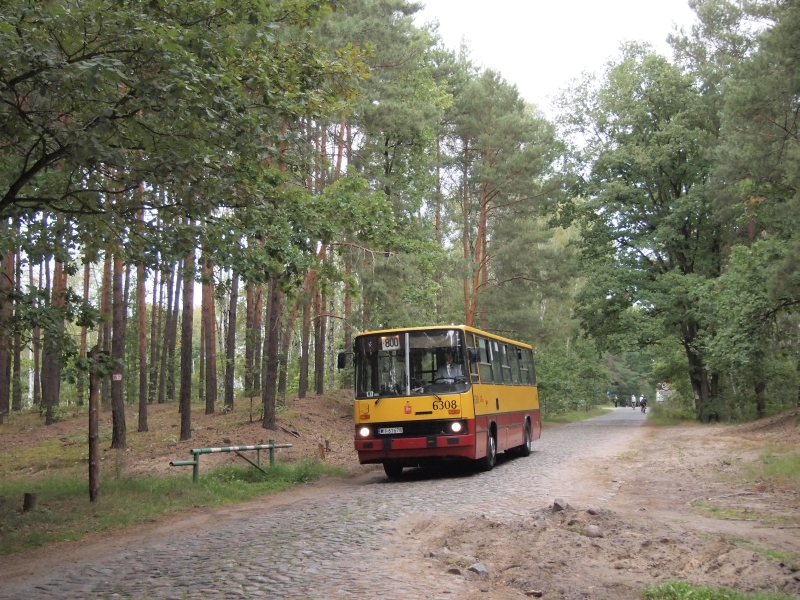 6308
Drugi z woroniczańskich Ikarusów na zielonych, "kociołbowych", "przyjazno-przebieżkowych" szlakach...
Słowa kluczowe: IK260 6308 800 Palmiry