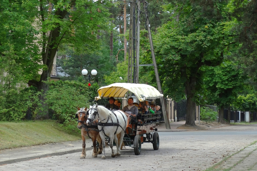 "Tramwaj konny"
W weekend 11-12 czerwca na terenie m. in. Milanówka trwała impreza pod nazwą "Festiwal Otwarte Ogrody". Jedną z atrakcji było uruchomienie dwóch linii "tramwaju konnego" (tak, właśnie tak to było opisane w oficjalnych materiałach informacyjnych) krążących po północnej stronie torów (linia A) i południowej (linia B).
Na zdjęciu "tramwaj" obsługujący linię A.
Słowa kluczowe: Tramwajkonny Milanówek Krasińskiego