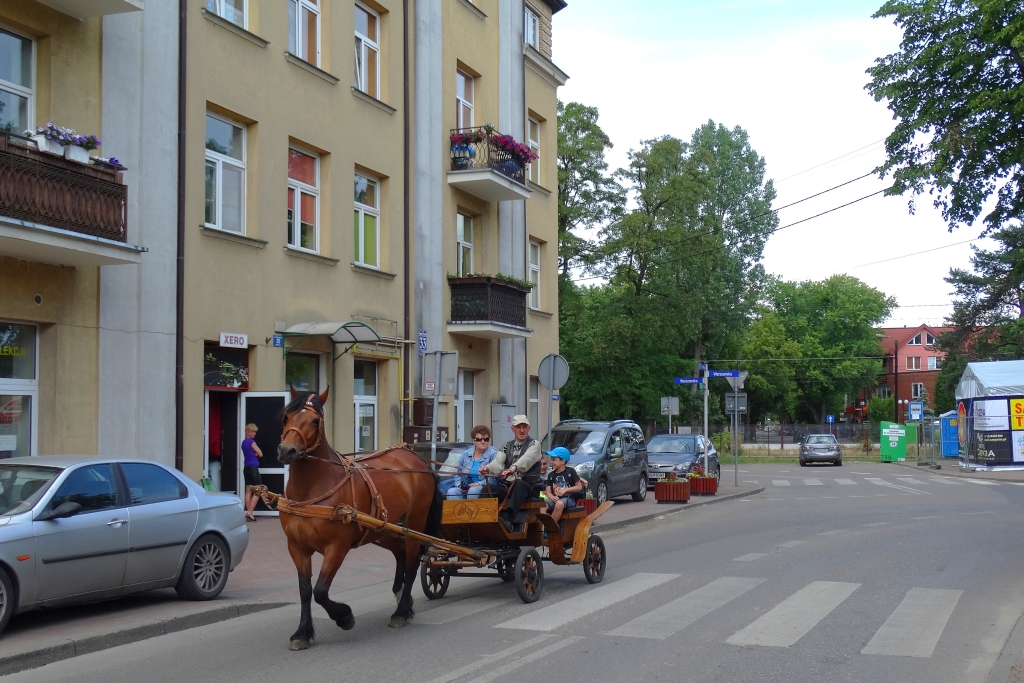 "Tramwaj konny"
Do kompletu pojazd obsługujący linię B w ramach Festiwalu Otwarte Ogrody w Milanówku...
Słowa kluczowe: Tramwajkonny Milanówek Piłsudskiego