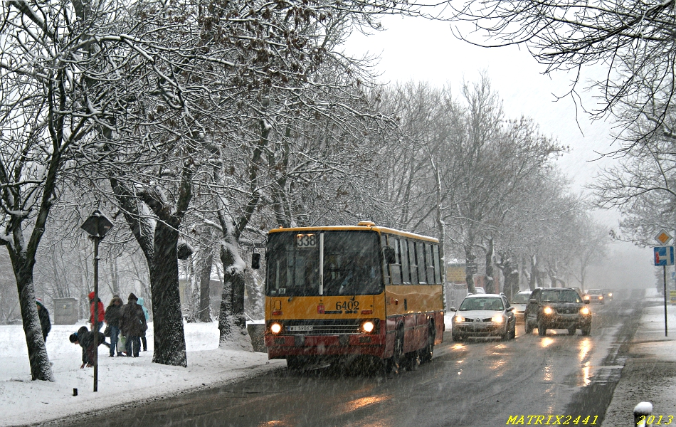 6402
Ikarus 260.73A prod. 1995

Ostatnia wysoka brygada 338 w popołudniowym szczycie kończy niedługi postój na przystanku obok odremontowanego nie tak dawno Kościoła Zmartwychwstania Pańskiego.
Słowa kluczowe: IK260 6402 338 KsięciaZiemowita