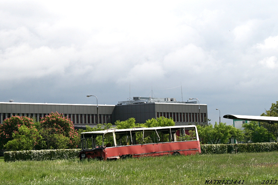 1006
Ikarus 260.04 prod. 1982, kasacja 1995

Gwoździem programu dzisiejszej wyprawy był ten wóz. W drodze zastanawiałem się czy jeszcze go tu ujrzę, bo byłem tu ostatnio trochę ponad 2 lata temu. Z daleka wyglądało, jakby zniknął, ale... ON JEDNAK WCIĄŻ ŻYJE! ON CIĄGLE TU STOI! Wyłonił mi się w ostatniej chwili zza beczek czy czegoś podobnego. Odetchnąłem, że będę go miał w swojej kolekcji. Nie wygląda już najlepiej, ale trudno się dziwić - stoi na tym lotnisku już prawie 18 lat.

BTW: Jaki dać album?
Słowa kluczowe: IK260 1006 TerenLotniskaOkęcie