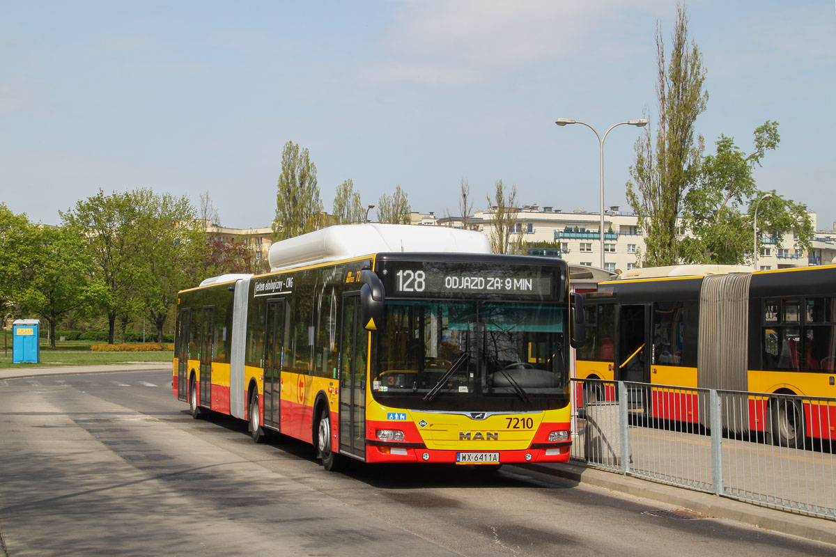 7210
Gaz ziemny to ciekawe paliwo. Jest lotny i spala się czysto, dając mniej zanieczyszczeń niż ciężki olej napędowy. W pojeździe można mieć mniej rozbudowany okład oczyszczania spalin niż dla diesla Euro 6. Gaz można też uzyskać z biomasy. Wadą jest duża objętość zajmowana nawet przez sprężone paliwo. Trzeba też zbudować dedykowaną infrastrukturę paliwową.
Słowa kluczowe: LionsCityGCNG 7210 128 Szczęśliwice