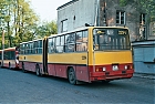 2294-709.jpg