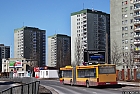 3356-509.jpg