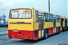 4293-171.jpg