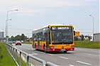 4421-197.jpg