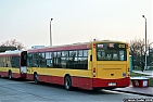 4911-178.jpg